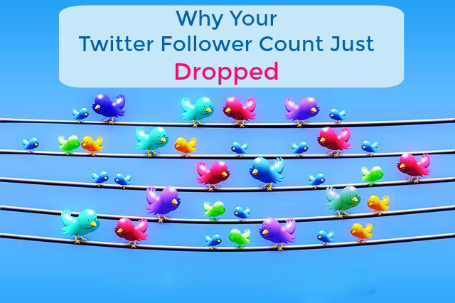 Has Your Twitter Followers' Count Dropped?